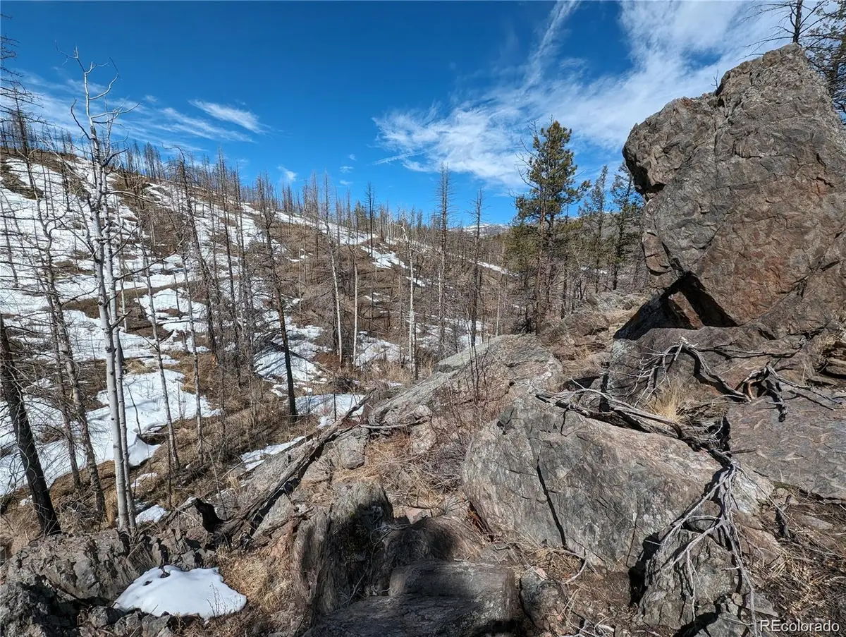 60 Powder Horn Trail, Bellvue, CO 80512 - #1