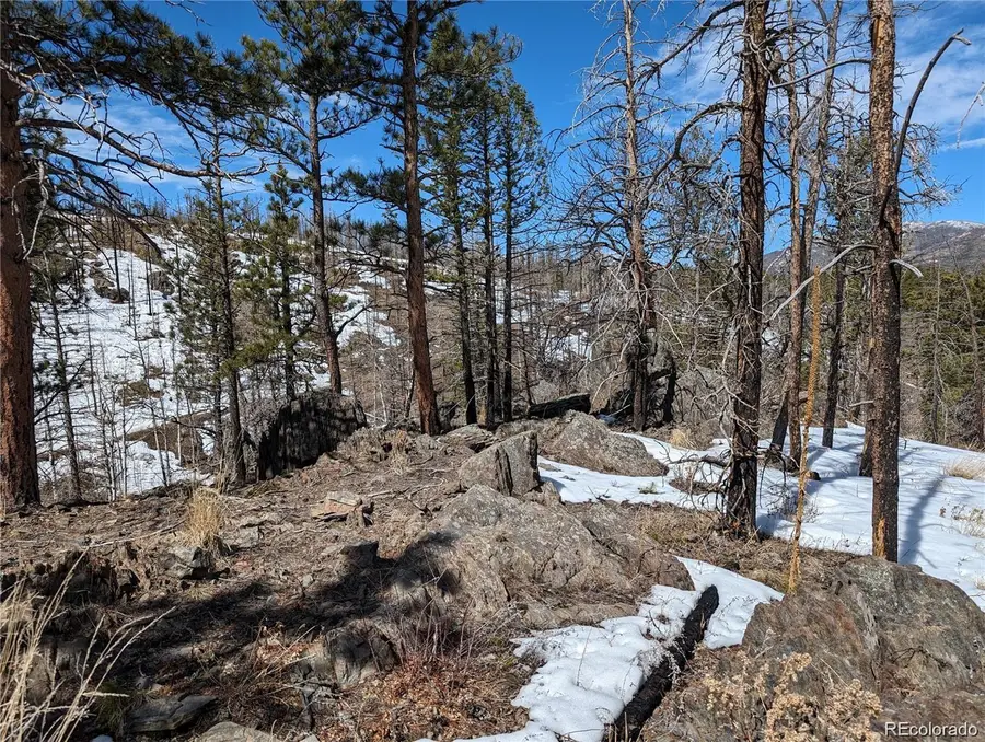 60 Powder Horn Trail, Bellvue, CO 80512 - #3