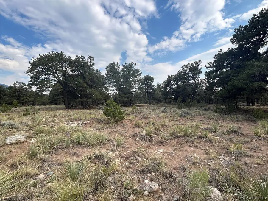 3530 Camino Del Rey, Crestone, CO 81131 - #3
