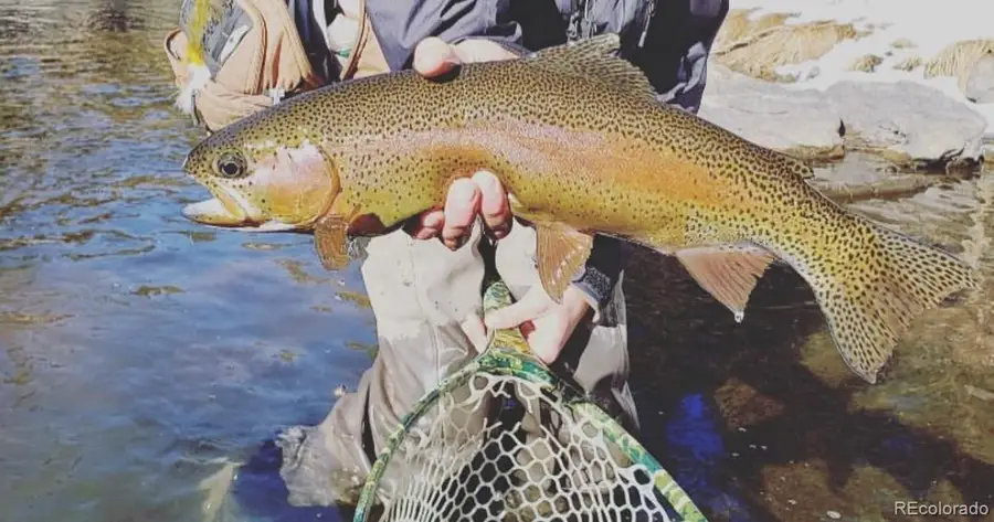 Tbd Highway 6, Edwards, CO 81632 - #3