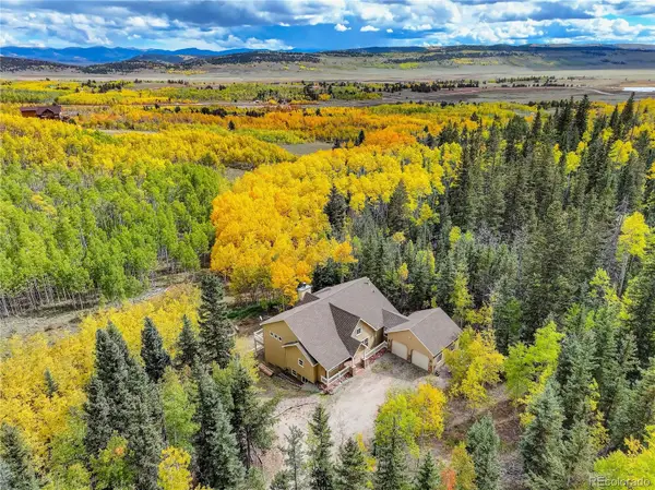 256 Palmer Peak Drive, Fairplay, CO 80440