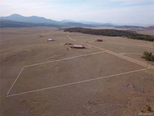 1071 Wagon Wheel Road, Hartsel, CO 80449