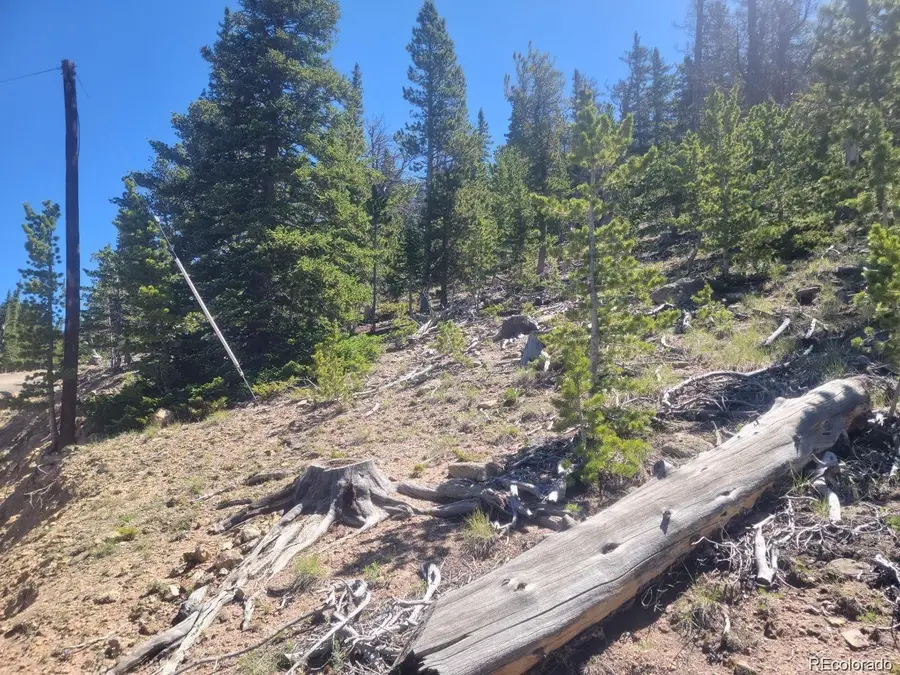 Mine Road, Idaho Springs, CO 80444 - #3
