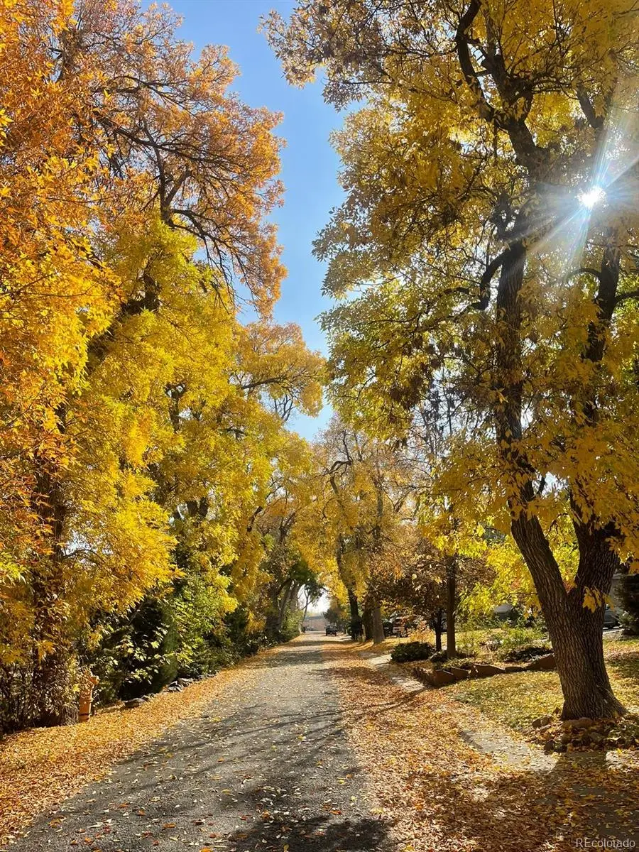 1065 Zang Street, Golden, CO 80401 - #2