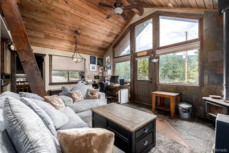 318 Upper Forest Road, Idaho Springs, CO 80452 - #3