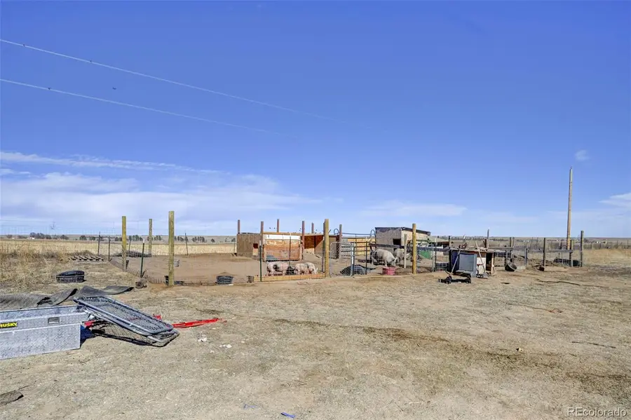 7455 S Rush Road, Rush, CO 80833 - #3