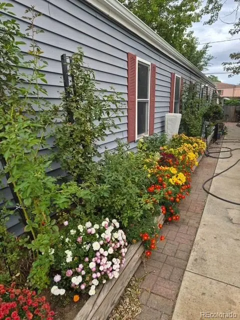 308 Elm Street, Lochbuie, CO 80603 - #2