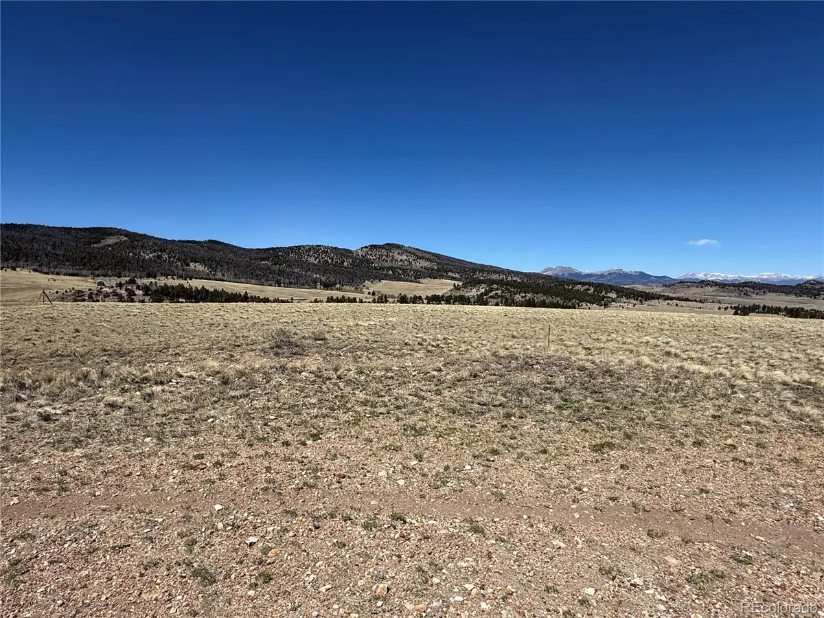 197 Baler Court, Hartsel, CO 80449 - #1