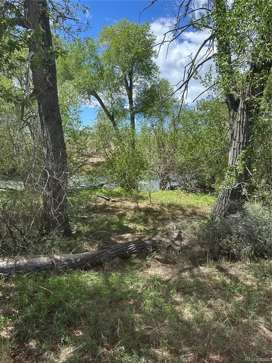 Lot 109 Alamosa River Estates, Capulin, CO 81124 - #1