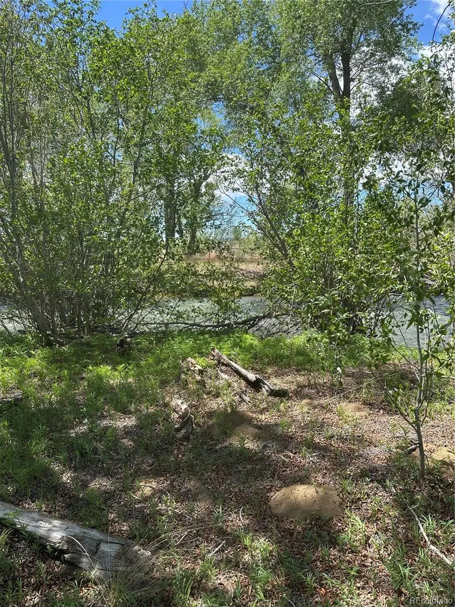 Lot 109 Alamosa River Estates, Capulin, CO 81124 - #2