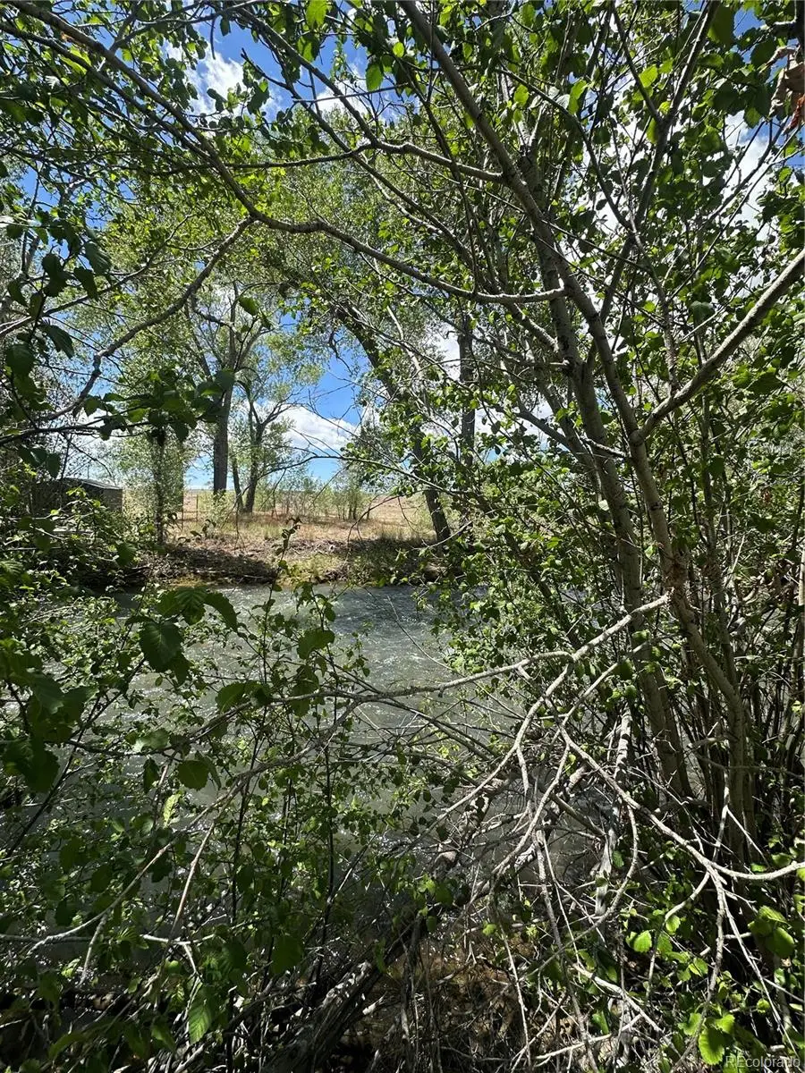 Lot 109 Alamosa River Estates, Capulin, CO 81124 - #3
