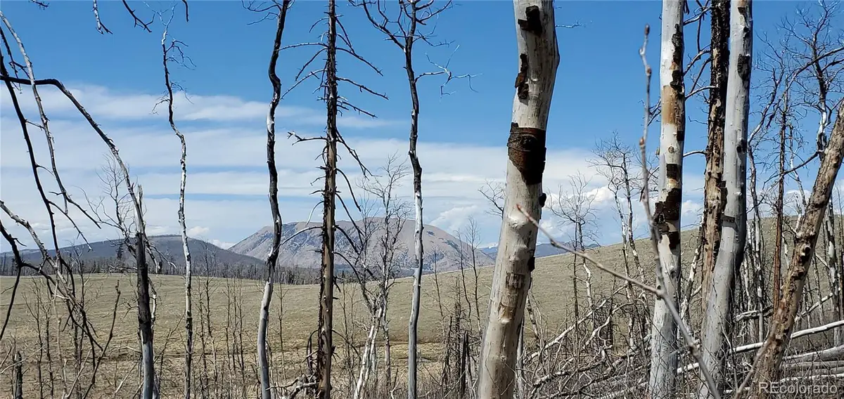 2398 Petito Drive, Fort Garland, CO 81133 - #1