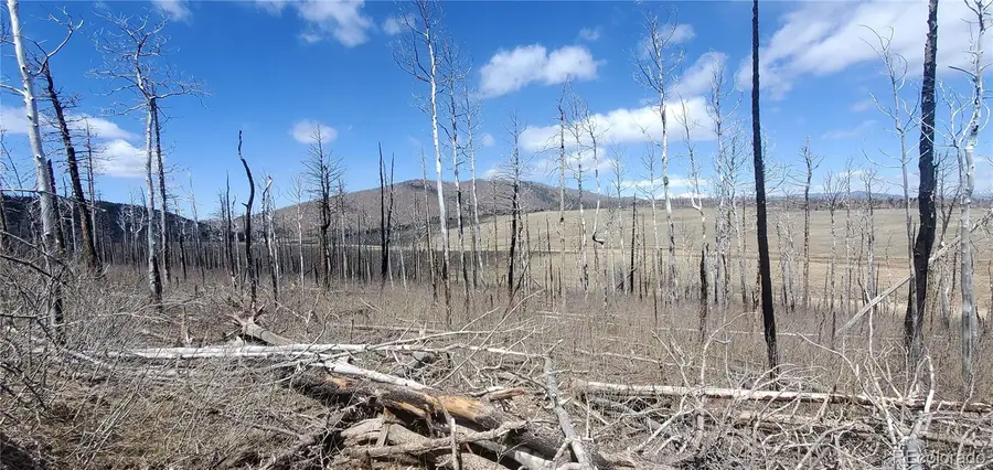 2398 Petito Drive, Fort Garland, CO 81133 - #2