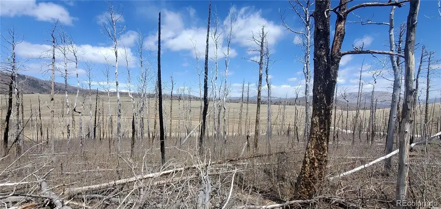 2398 Petito Drive, Fort Garland, CO 81133 - #3