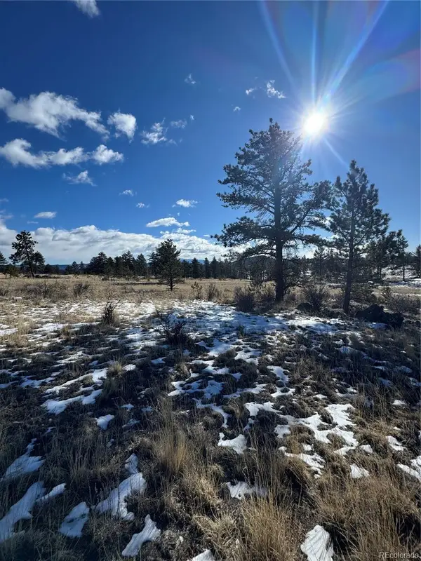 861A State Highway 24, Lake George, CO 80827