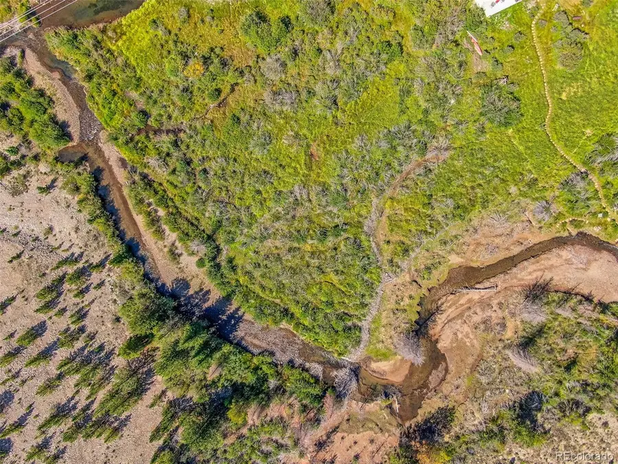 Lot 17 Singleton, Alma, CO 80420 - #2