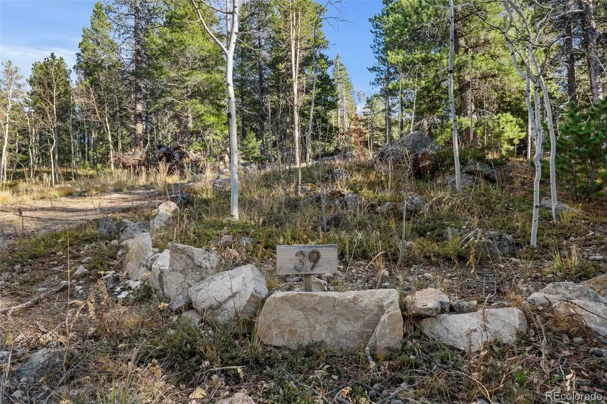 84 Severance Lodge Road, Black Hawk, CO 80422 - Image #1