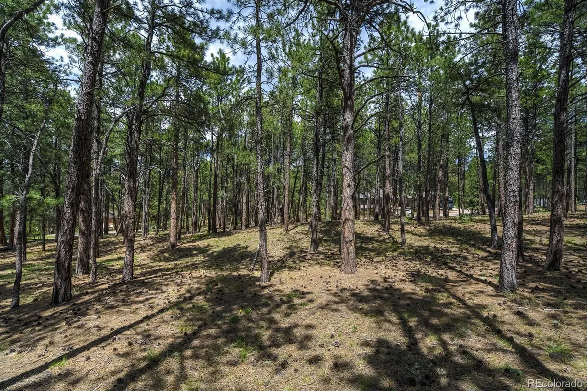 17960 Smugglers Road, Monument, CO 80132 - Image #1