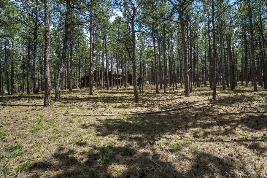 17960 Smugglers Road, Monument, CO 80132 - Image #2