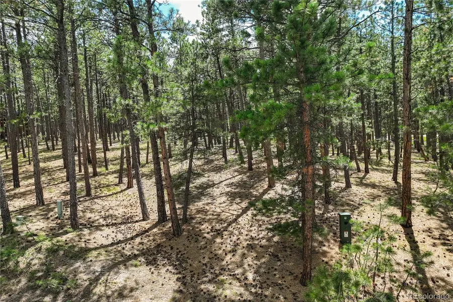 17960 Smugglers Road, Monument, CO 80132 - Image #3