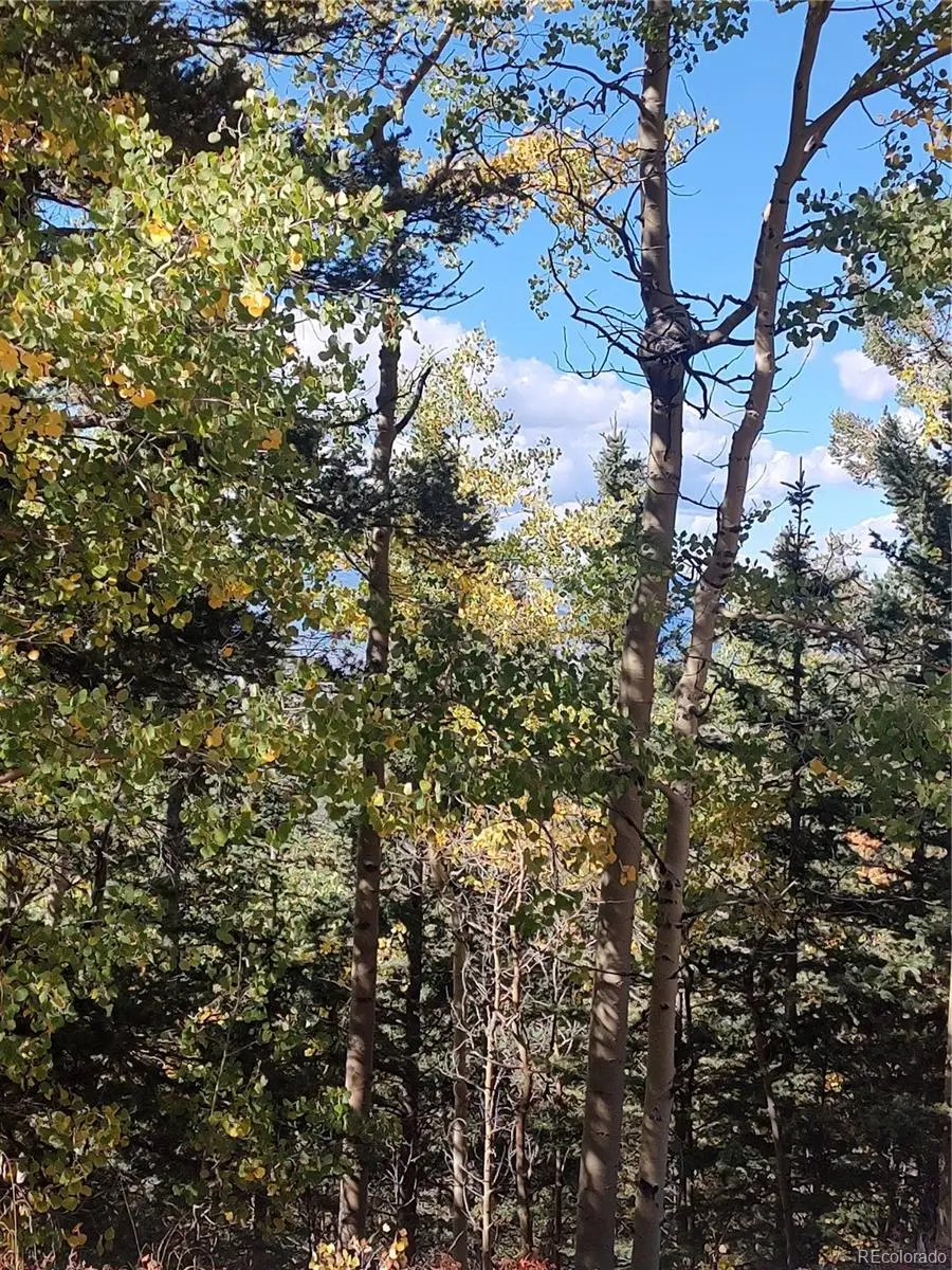 Lot 5374, Fort Garland, CO 81133 - Image #1