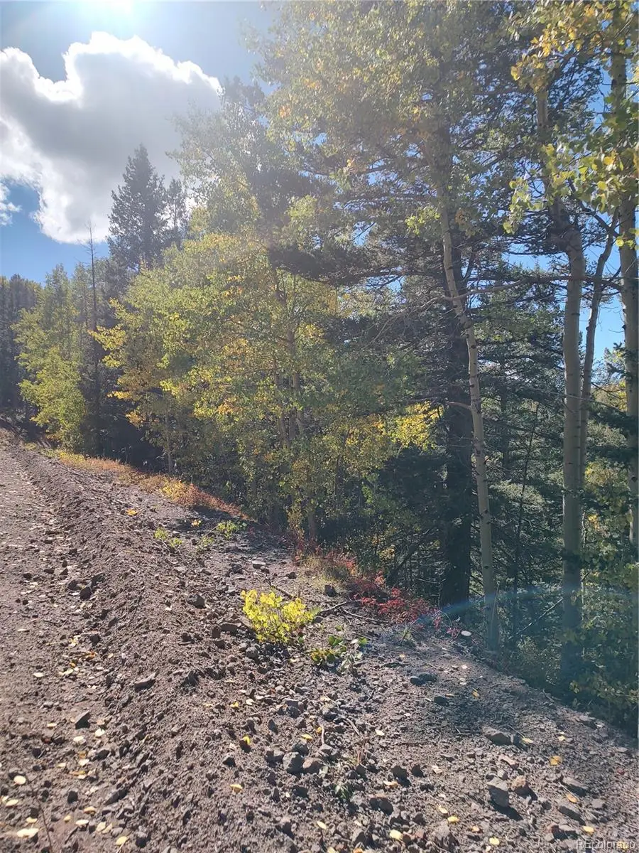 Lot 5374, Fort Garland, CO 81133 - Image #3