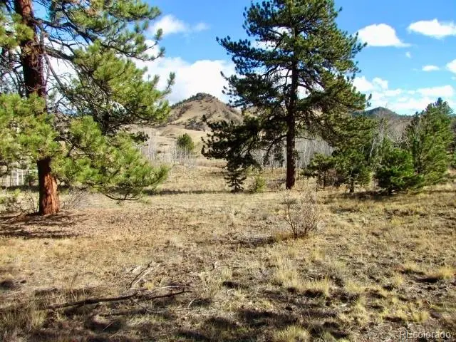 Tbd Cherokee Trail, Hartsel, CO 80449 - Image #2