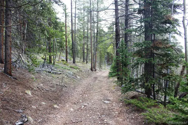 01 Broomfeild Gulch Road, Black Hawk, CO 80422