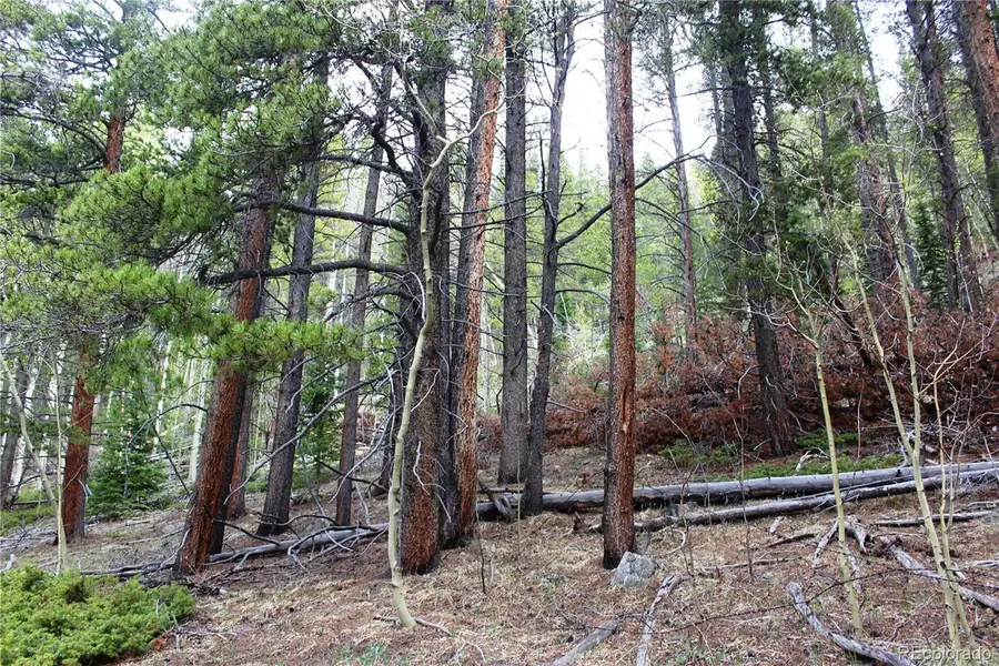 01 Broomfeild Gulch Road, Black Hawk, CO 80422 - #3