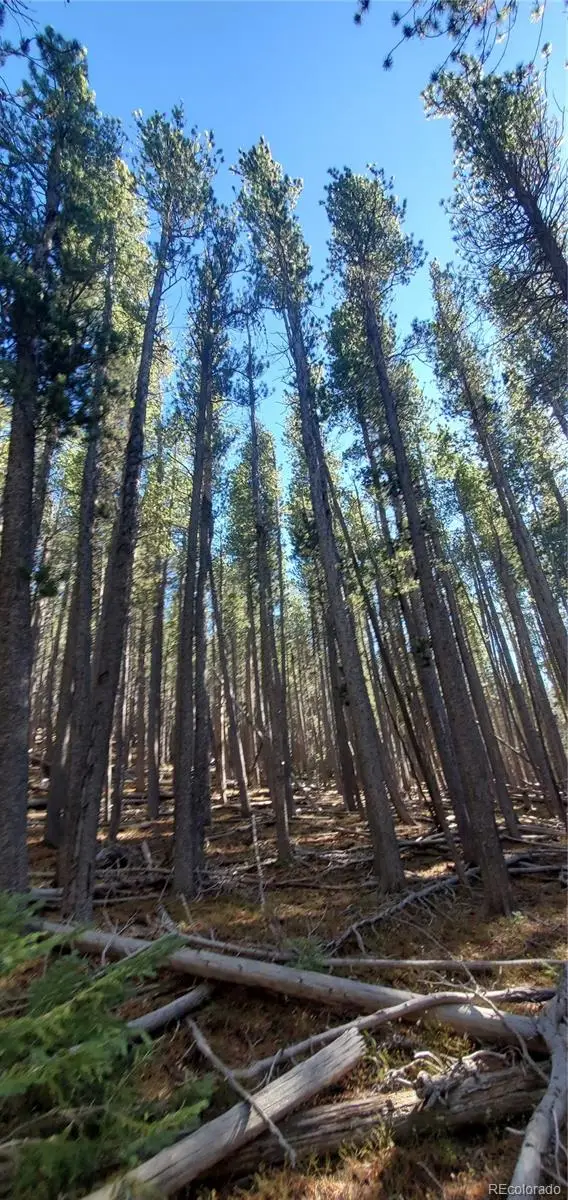 Lot 2682 & 2683 Purnell Lane, Fort Garland, CO 81133 - Image #3