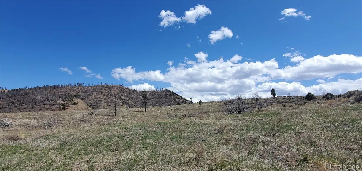 Lot 7698 Marie Road, Fort Garland, CO 81133 - Image #1