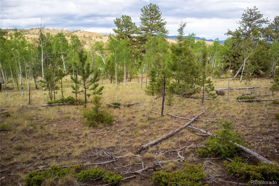 2396 Fitzsimmons Road, Hartsel, CO 80449 - Image #3