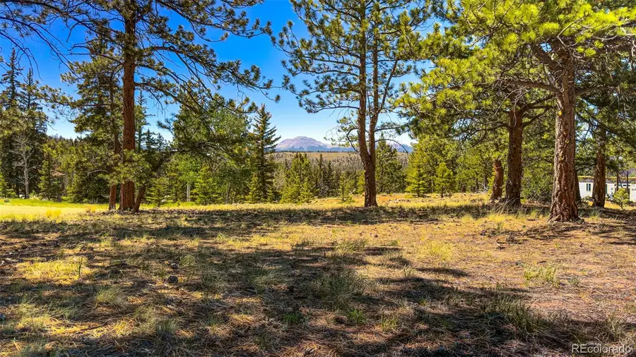 120 Chubb Court, Buena Vista, CO 81211 - #2