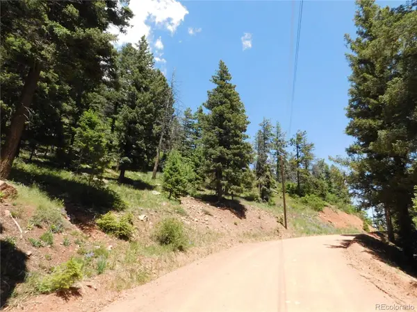13524 Woodmoor West Drive, Larkspur, CO 80118