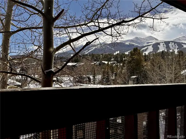 305 S Park #402 Avenue #402, Breckenridge, CO 80424