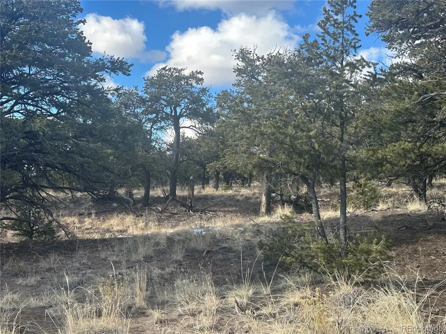 488 Arrowhead Way, Crestone, CO 81131 - Image #2