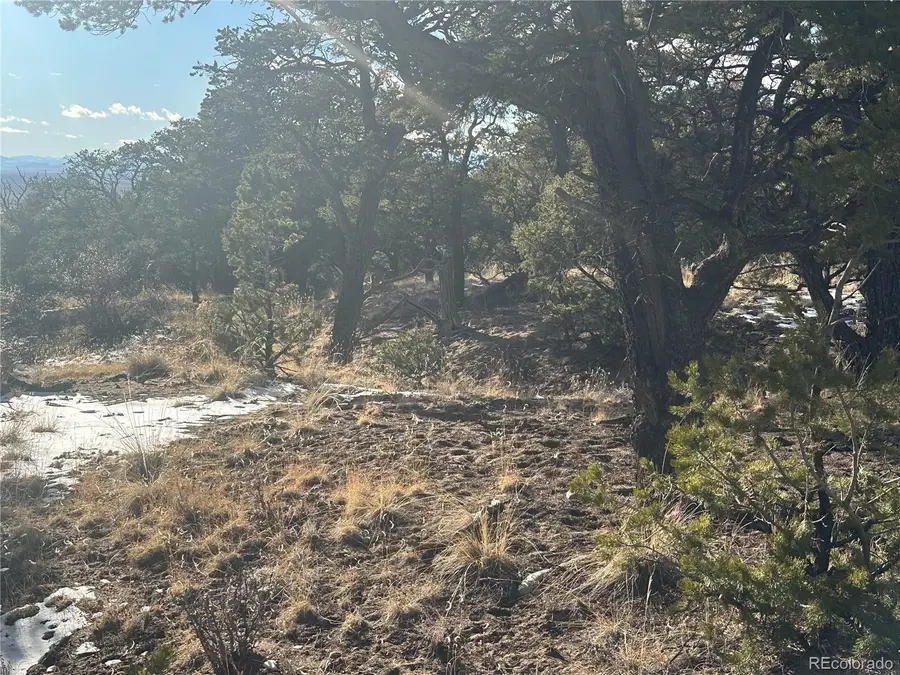 488 Arrowhead Way, Crestone, CO 81131 - Image #3