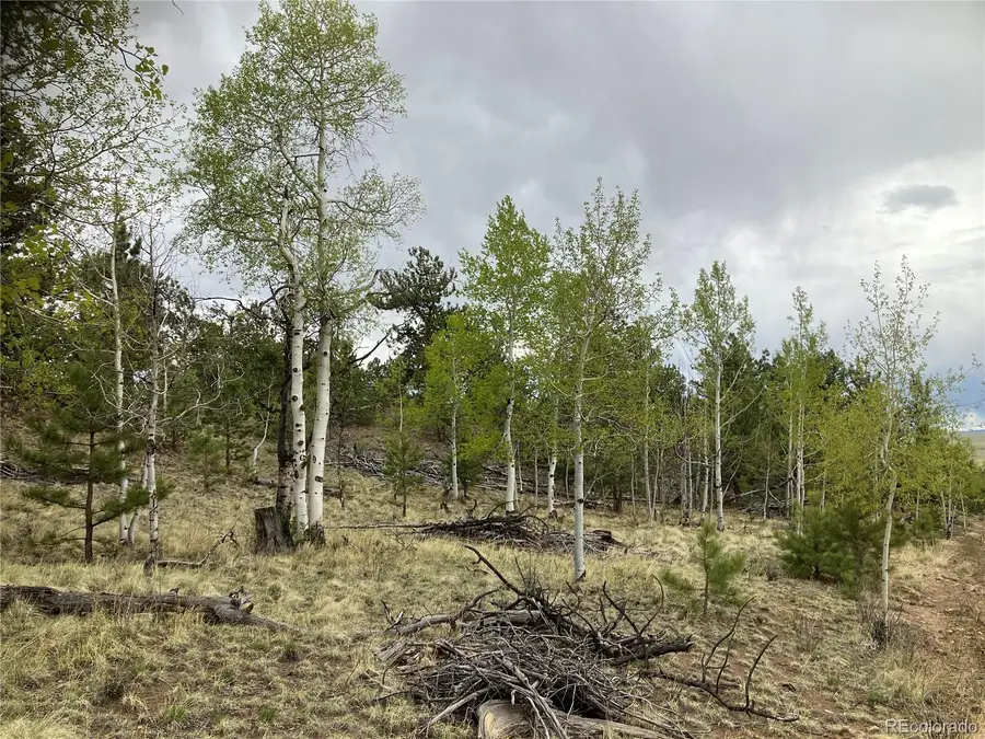 256 Bandana Road, Hartsel, CO 80449 - Image #2