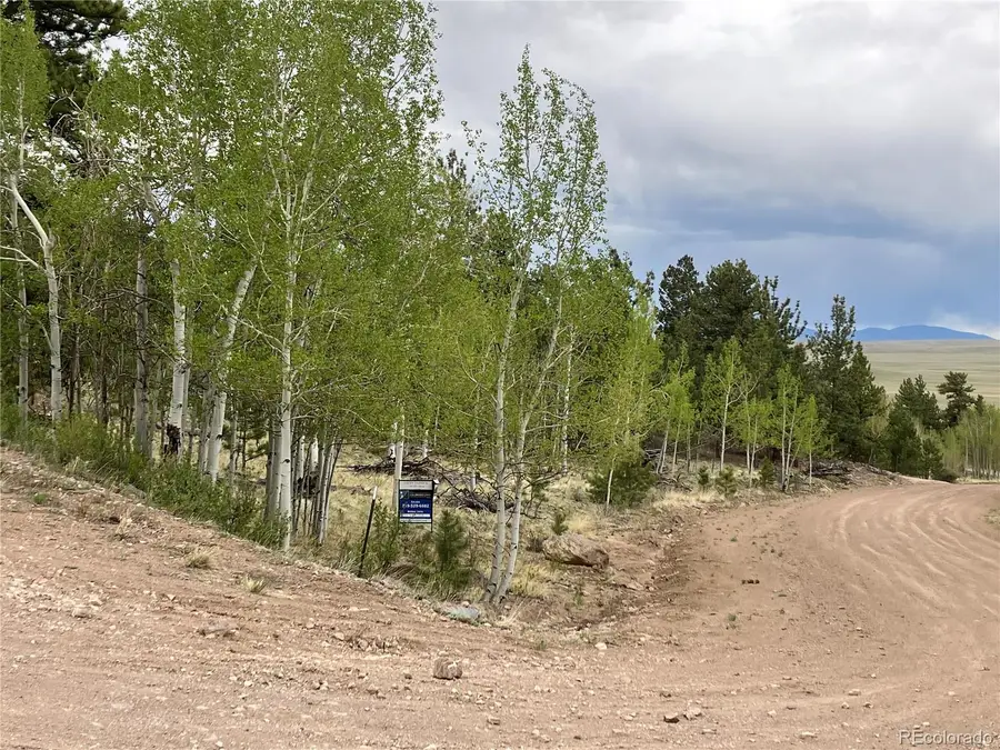 256 Bandana Road, Hartsel, CO 80449 - Image #3