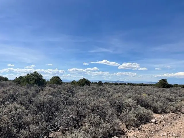 Garland Trail, Parcel 9, San Luis, CO 81152 - #3