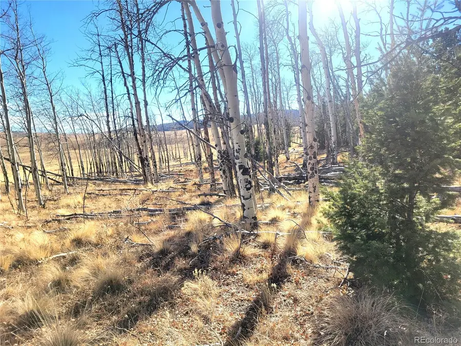 8802 Ranch Road, Hartsel, CO 80449 - #3