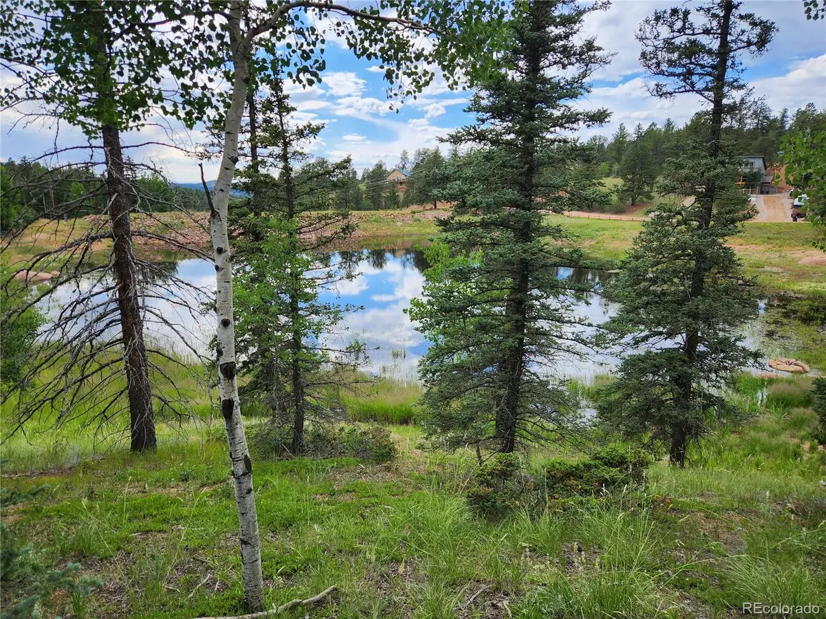 1076 Spring Valley Lane, Florissant, CO 80816 - #1