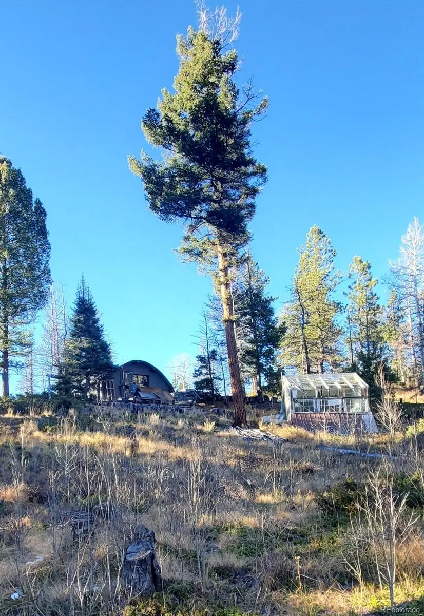 880 Burno Mountain Road, Cotopaxi, CO 81223 - Image #3