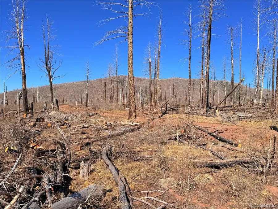 LOT 2213 Burnett Lane, Fort Garland, CO 81133 - #3