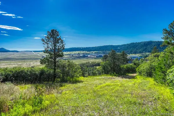 00 Columbine Road, Larkspur, CO 80118
