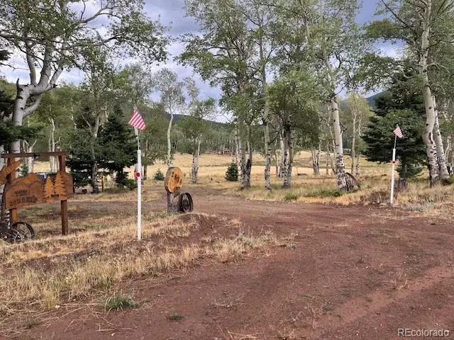 2876 Fery Loop, Fort Garland, CO 81133 - #2