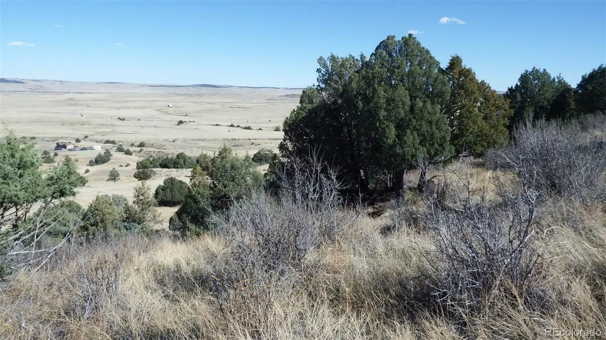 35584 Comanche Creek Road, Kiowa, CO 80117 - #1