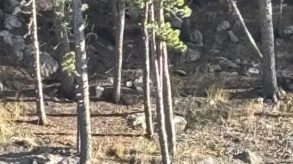 1 Miners Road, Black Hawk, CO 80422