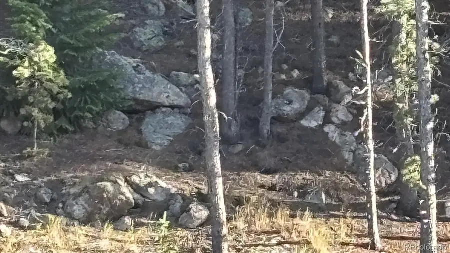 1 Miners Road, Black Hawk, CO 80422 - Image #3