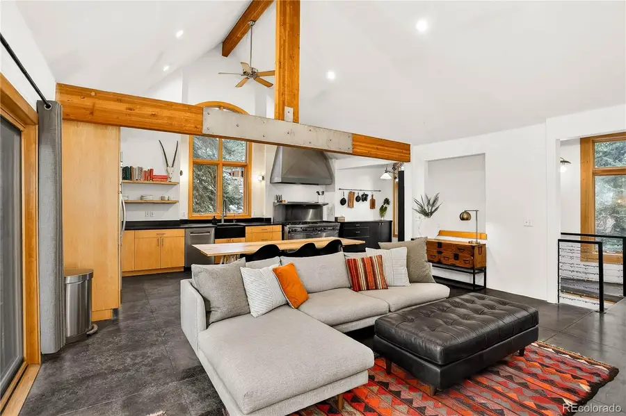 24844 N Turkey Creek Road, Evergreen, CO 80439 - #3